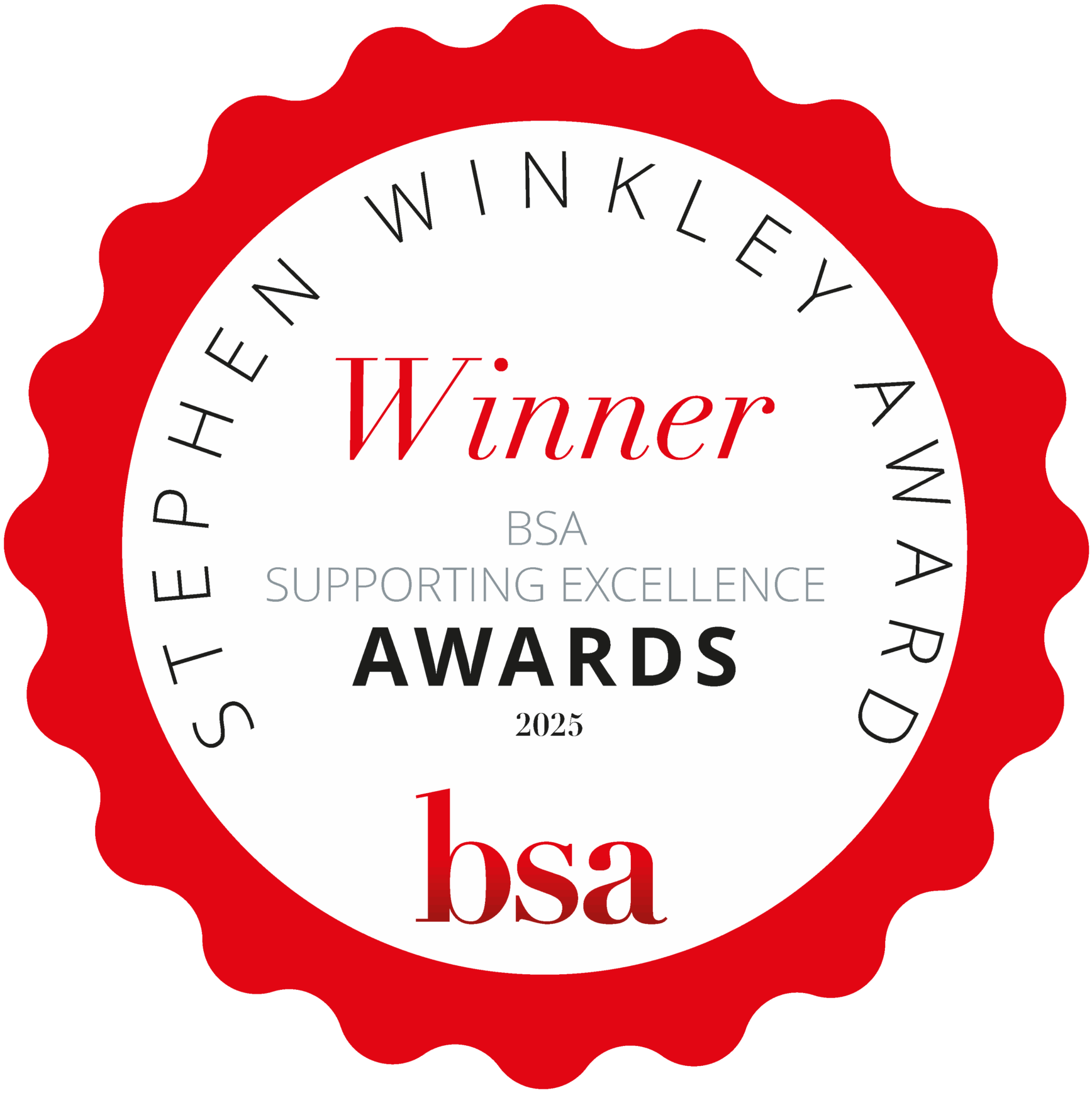BSA Supporting Excellence Awards 