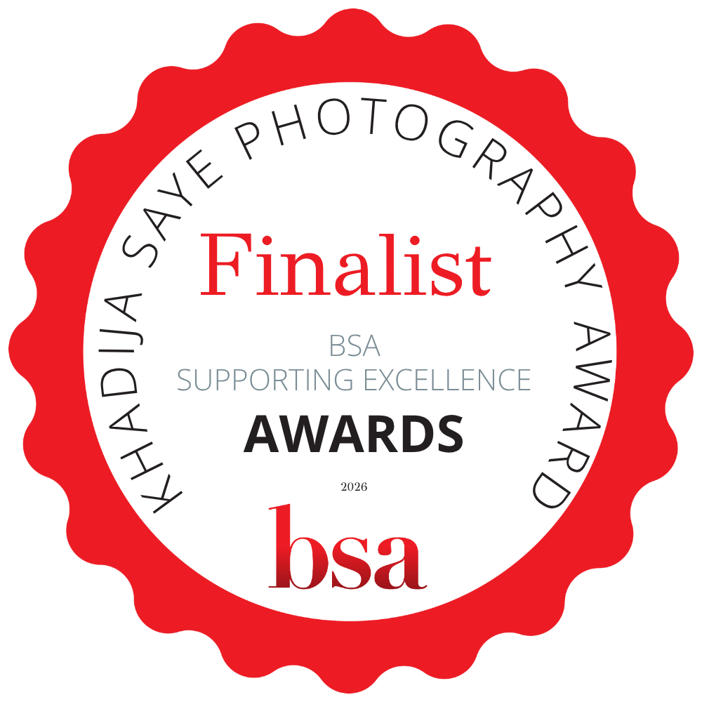 BSA Supporting Excellence Awards 